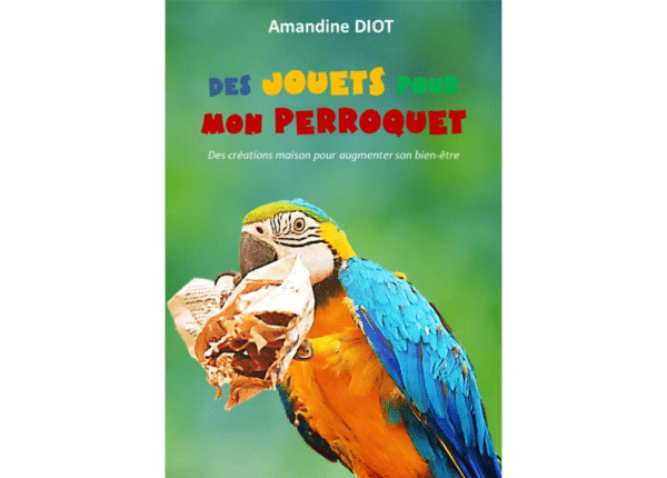 « Des jouets pour mon perroquet » le livre pour vous inspirer !