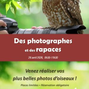 Des photographes et des rapaces